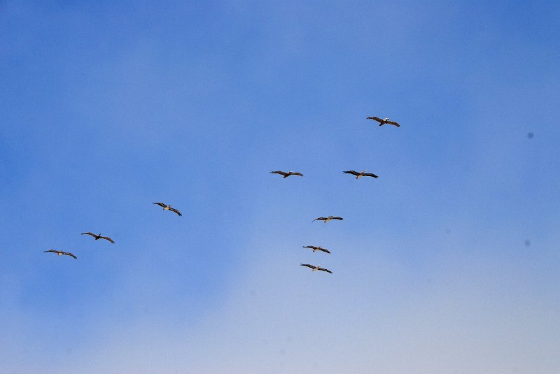 2011-07-24_Santa Barbara_Tag29_287.jpg